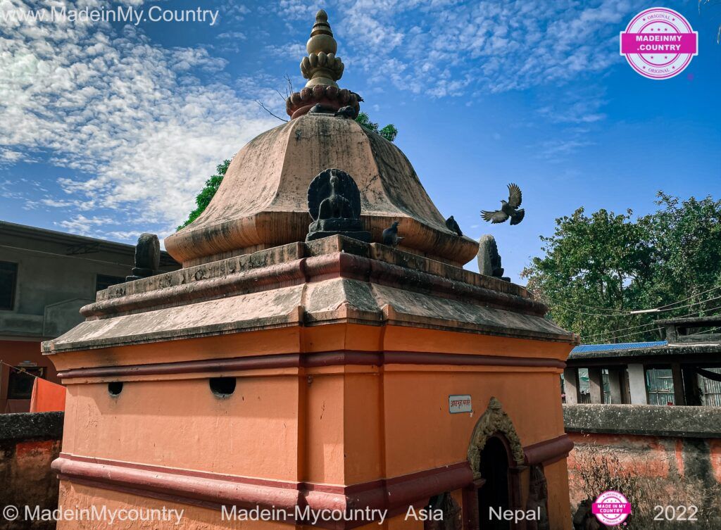 MadeinMycountry MadeinMycountryWorld MADEINMYCOUNTRYASIA