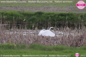 MadeinMycountry MadeinMycountryEU MadeinMycountry Europe