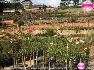 MadeinMycountry-India-MadeinMycountryIndia-MadeinMycountry-Asia-MadeinMycountryIN