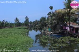 MadeinMycountry-India-MadeinMycountryIndia-MadeinMycountry-Asia-MadeinMycountryIN