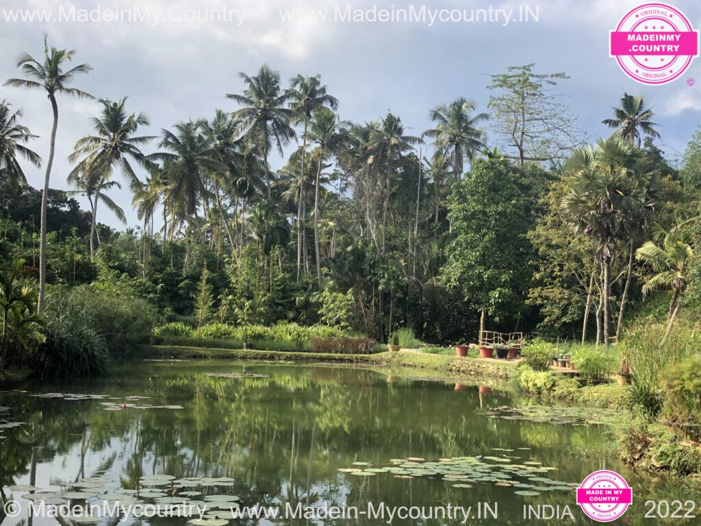MadeinMycountry MadeinMycountryIndia India Kerala
