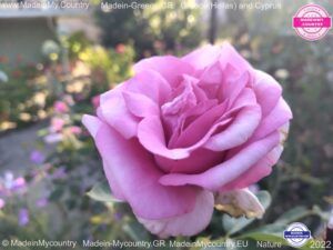 MadeinMycountry-MadeinMycountryGR-MadeinMycountyry-EU-Greece-Cyprus-Hellas-Madein-Greece-and-Cyprus-EU-Europe