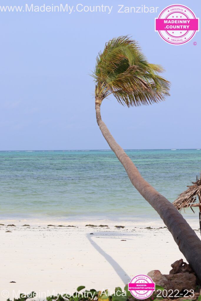 MadeinMycountry-MadeinMycountryAfrica-Africa-Madein-Africa-MadeinMycountryNET-Culture-History-Zanzibar-Africa