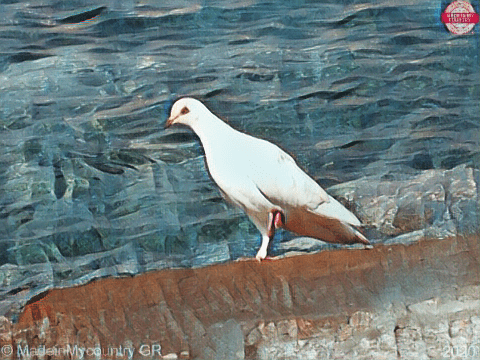 MadeinMycountry-Aegean-sea-of-Greece.-Cyprus-and-the-Greek-islands