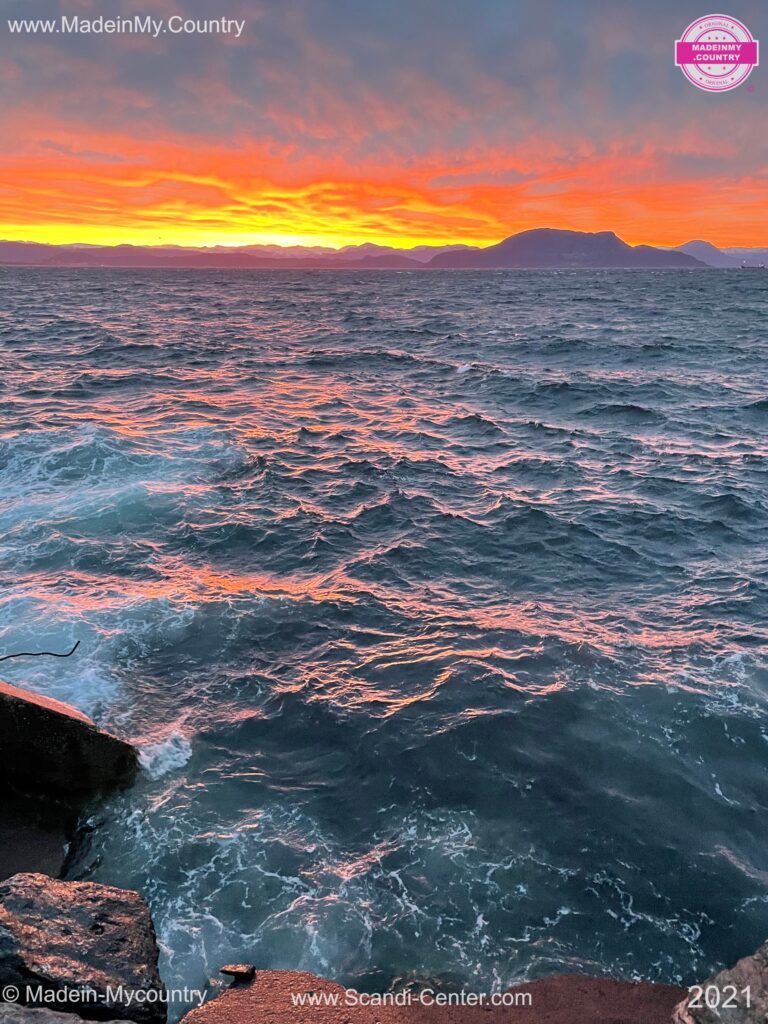 MadeinMycountry Scandinavia MadeinMycountry is a global platform that celebrates and supports local history, culture, art and nature conservation efforts.